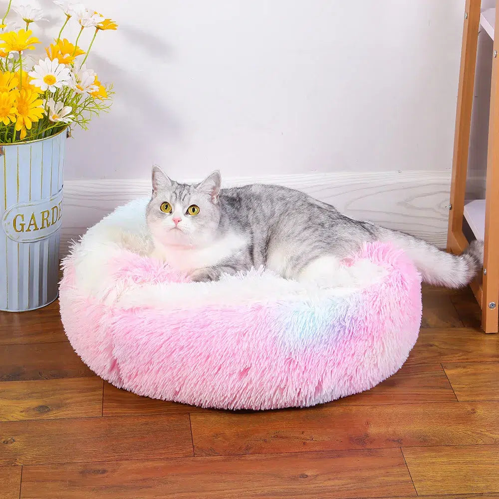 Lit-Moumoute-confortable-pour-chat